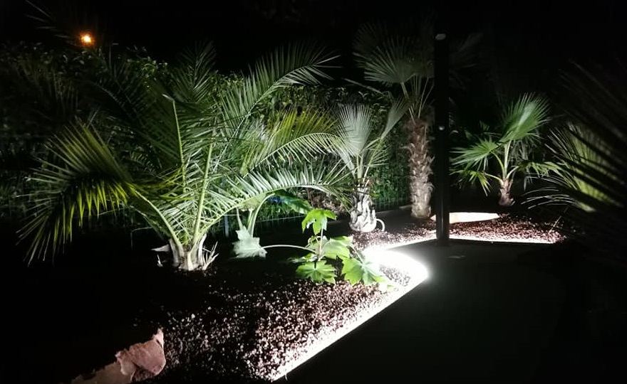 illuminer jardin exotique